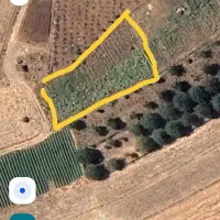 فروش زمین کشاورزی نرسیده به کانی میران