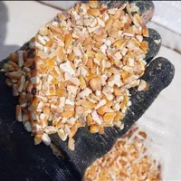 گندم وجووسویاوذرت وانواع کنسانتره هاو کاه و یونجه|عمده‌فروشی|ملارد, |دیوار