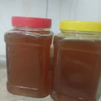عسل طبیعی کنار با بهترین طمع|خوردنی و آشامیدنی|فولادشهر, مسکن مهر فولادشهر|دیوار
