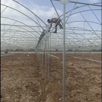 نصب انواع گلخانه های فلزی در همه ابعاد|خدمات پیشه و مهارت|ورامین, ورامین|دیوار