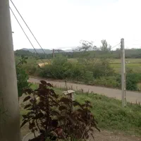 ویلا و سوییت جنگلی