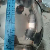 همزن برقی بزرگ سبزی خوردکن چرخ خیاطی سرویس چینی|سایر لوازم برقی|مشهد, رده|دیوار