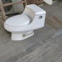 فرنگی کرد در حد