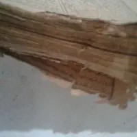 کتاب قدیمی عتیقه|کتاب و مجله مذهبی|قزوین, |دیوار