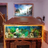 اکواریوم دو متری با کابینت هاکلاس اصل|ماهی|ارومیه, |دیوار