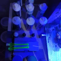 آکواریوم آب شور کامل|ماهی|ری, دیلمان|دیوار