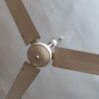 پنکه سقفی در حد نو|پنکه و تصفیهکنندهٔ هوا|شوشتر, |دیوار