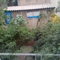 همخانه خانم میانسال