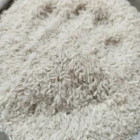 برنچ هاشمی به شرط پخت