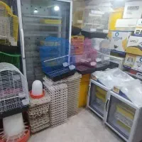 نمایندگی فروش دستگاه جوجه کشی|لوازم جانبی حیوانات|نوشهر, |دیوار