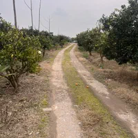 ویلای باغ ۸۶۰۰ متری بر آسفالت با ۸۰ متر بنا