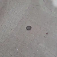 گلیم فرش پالاز ۶متری و ۴عددپشتی