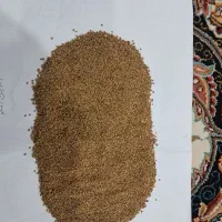 برداشت تناژ بالا با بذر یونجه موسوی|خدمات باغبانی و درختکاری|یاسوج, |دیوار