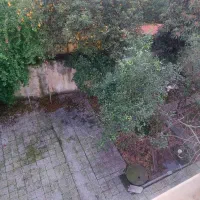 فروش مغازه