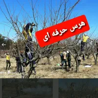 باغبانی، هرس،سمپاشی،کودهی،گلکاری و درختکاری