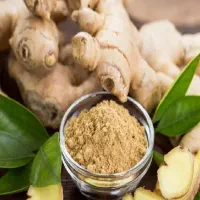 زنجبیل تازه وبه شرط