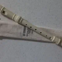 فلوت