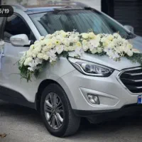 ماشین عروس چک ۴ ماهه