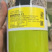 بذر پیاز مینروا