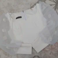 کراپ مجلسی