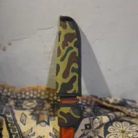 کبوتر معاوضه|کلکسیون و سرگرمی|گنبد کاووس, |دیوار