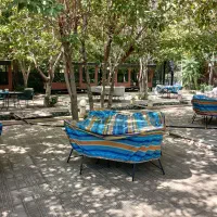 مشارکت و سرمایه‌گذاری در مدیریت کافه