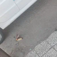 پژو ۲۰۷|خودرو سواری و وانت|زاهدان, |دیوار