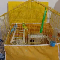مرق عشق