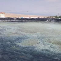 زمین کشاورزی|فروش زمین و ملک کلنگی|هیر, |دیوار