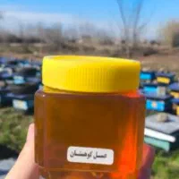 عسل 100درصدطبیعی رویین