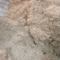 کاه|لوازم جانبی حیوانات|خلیفان, |دیوار