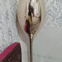 کمد ، جلو مبلی،گلدون|مبلمان خانگی و میز عسلی|تربتحیدریه, داروپخش|دیوار