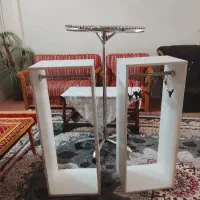 رگال گردان چوبکار رگال ایستاده