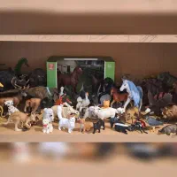 فیگور حیوانات موجو کالکتا اسباب بازی دایناسور