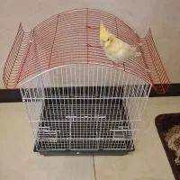 قفس پرنده