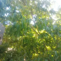 خرید و فروش وام