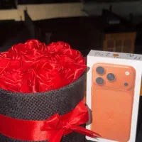 گل رز ربانی گل ربانی