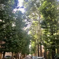 175متر-کلیدنخورده-مشاعات-کامل-amp-laquo-املاک-امید-amp-raquo