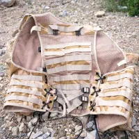 تاکتیکال موش صحرا
