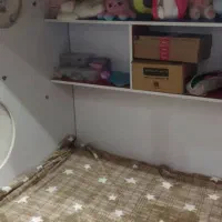 تخت دوطبقه|تخت و سرویس خواب|شیراز, ریاستی|دیوار