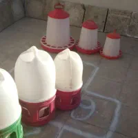 ظرف دون مرغ|لوازم جانبی حیوانات|تهران, افسریه شمالی|دیوار