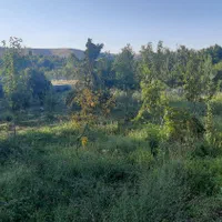 باغ 700 متری سنددار در روستای ییلاقی اندرخ/معاوضه|فروش زمین و ملک کلنگی|مشهد, نوید (بلوار کشاورز)|دیوار