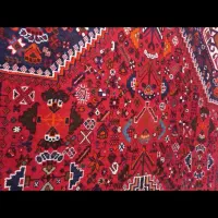 قالی ترکی دستباف|فرش|کازرون, |دیوار