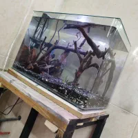 آکواریوم با پایه فروشی یا معاوضه