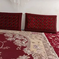پشتی
