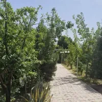 زمین-تجاری-مسکونی-تاکستان-فرهنگ-شهر