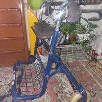 والکر بزرگسالان ایتالیایی