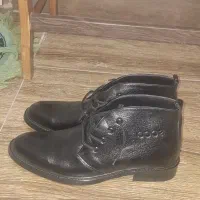 کفش|کیف، کفش، کمربند|بابل, |دیوار