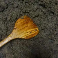 سبزی خورشتی آماده