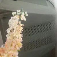 سلام تلویزیون 29اینج سامسونگ سالم به فروش مرسد|تلویزیون و پروژکتور|مشهد, خواجه ربیع|دیوار